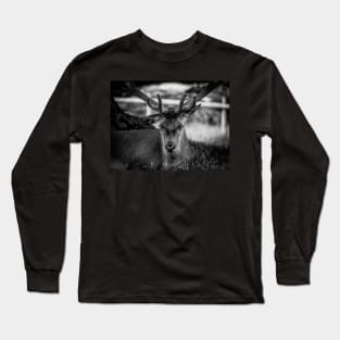 Stag Long Sleeve T-Shirt